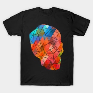 Skull Made of Color T-Shirt